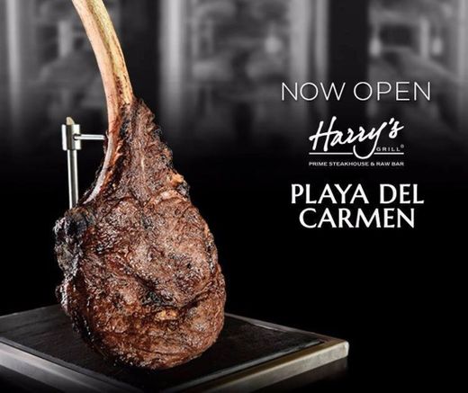Harry's Steakhouse & Raw Bar | Playa del Carmen