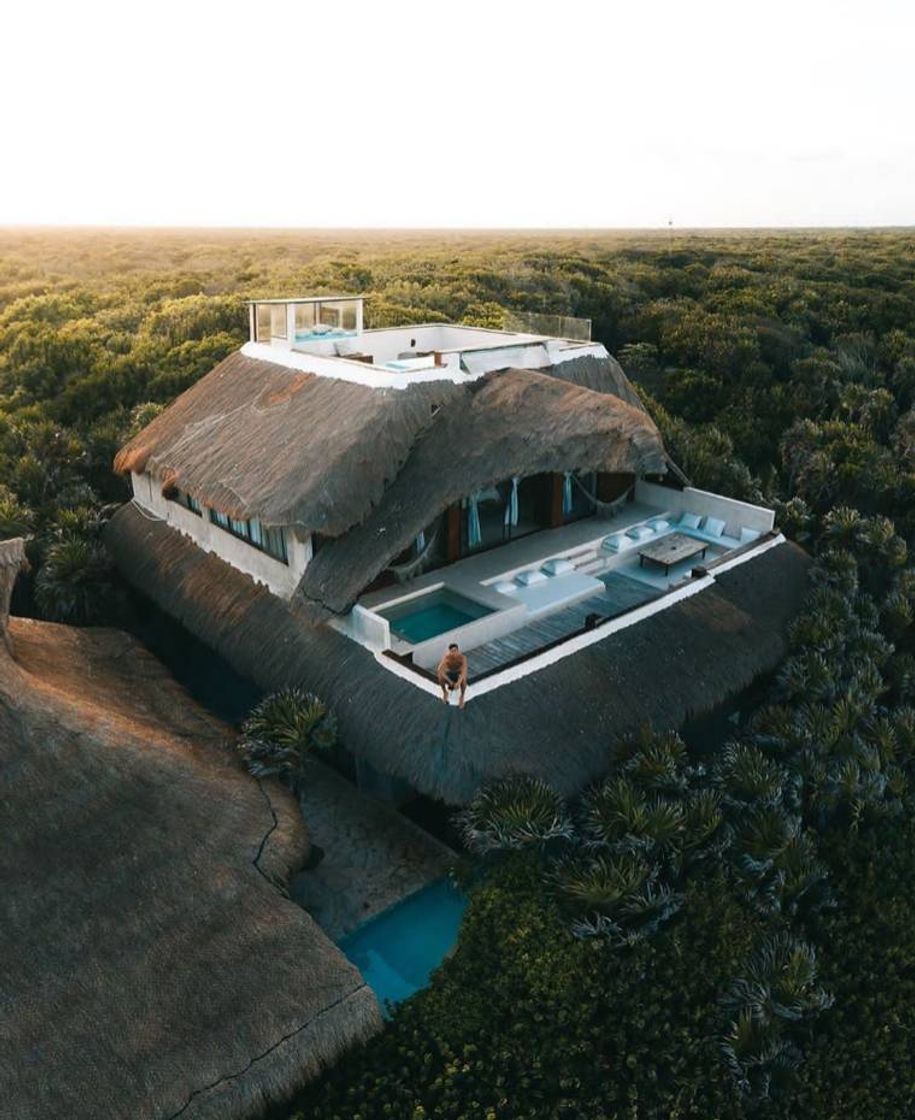 Place Papaya Playa Project
