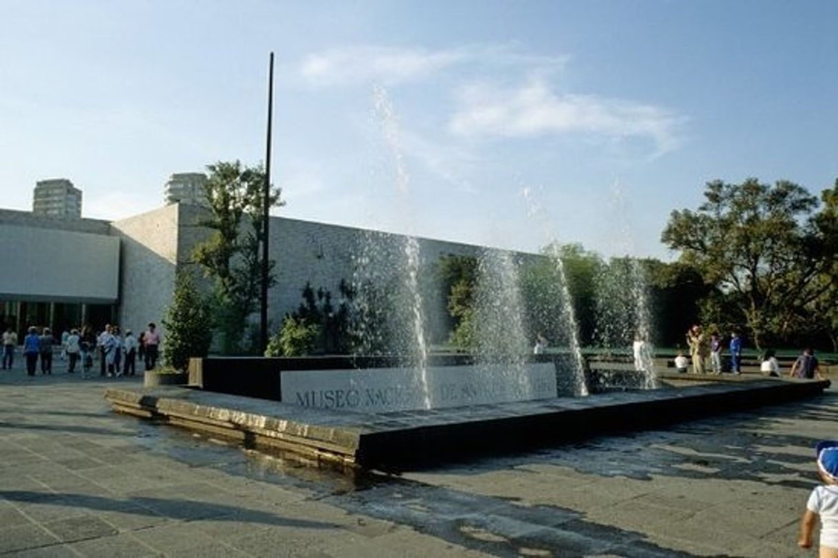 Place Museo Nacional de Antropología