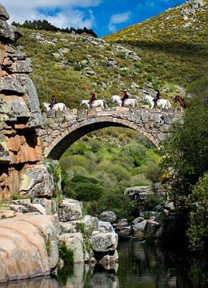 Place Sierra de Gredos