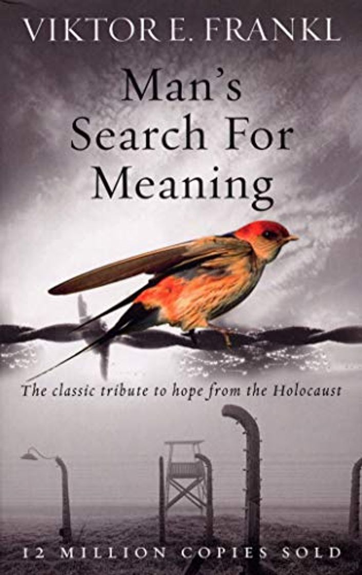 Libro Man's Search For Meaning