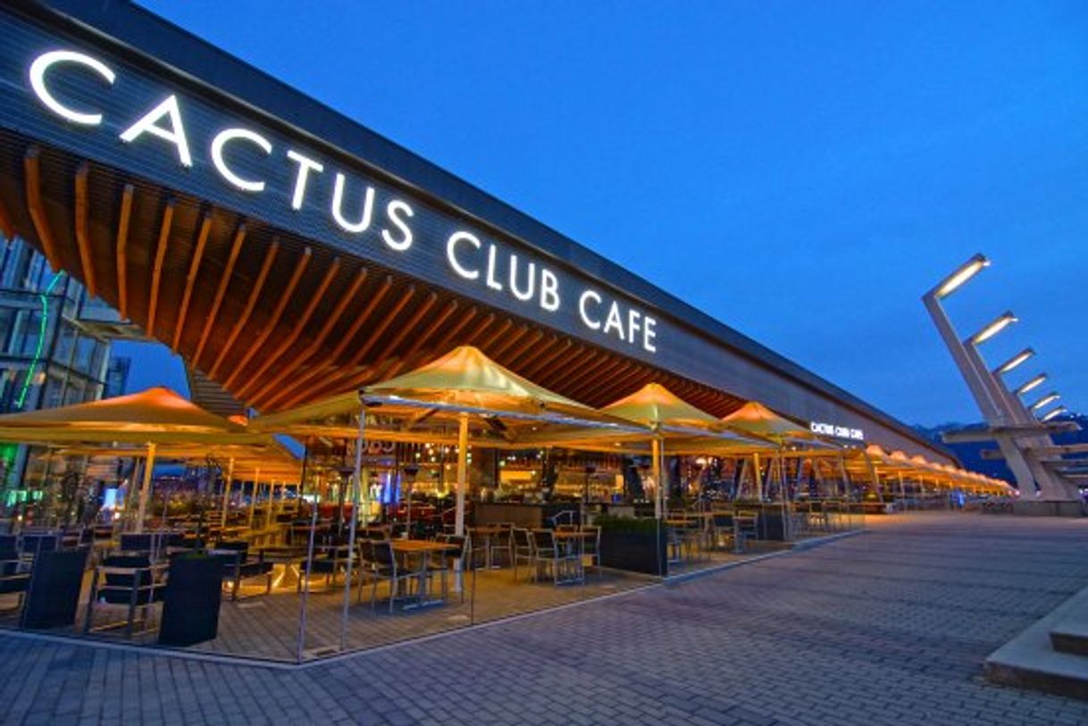 Lugar Cactus Club Cafe Coal Harbour