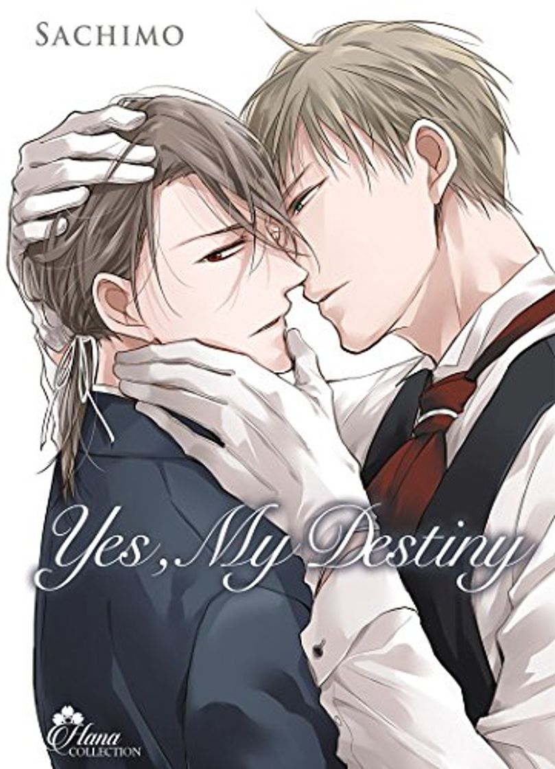 Book Yes, my Destiny, Tome 2 :