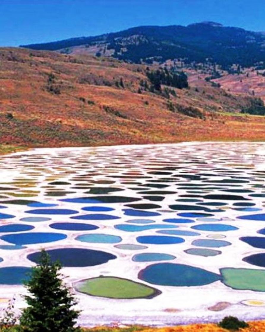 Lugar Spotted Lake