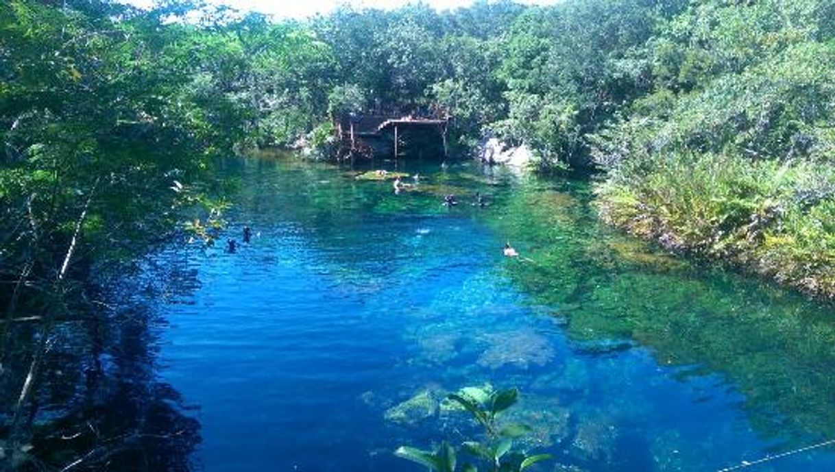 Place Cenote El Eden