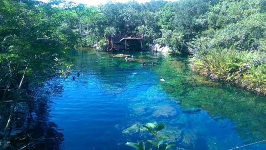 Cenote El Eden