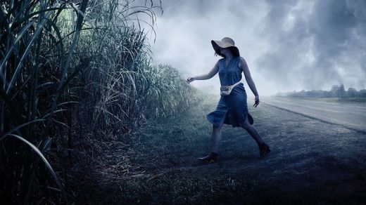 In the Tall Grass | Netflix Official Site