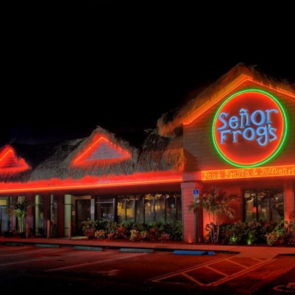 Restaurants Señor Frog's