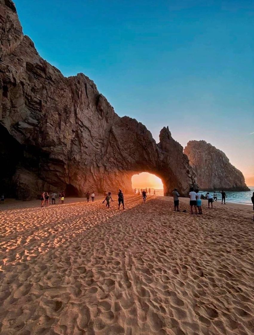 Place Los Cabos