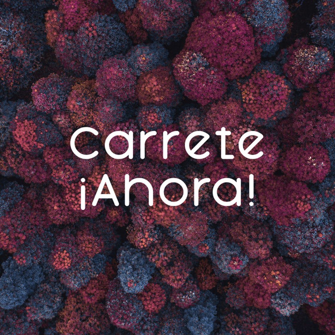 Canción Virtual Diva