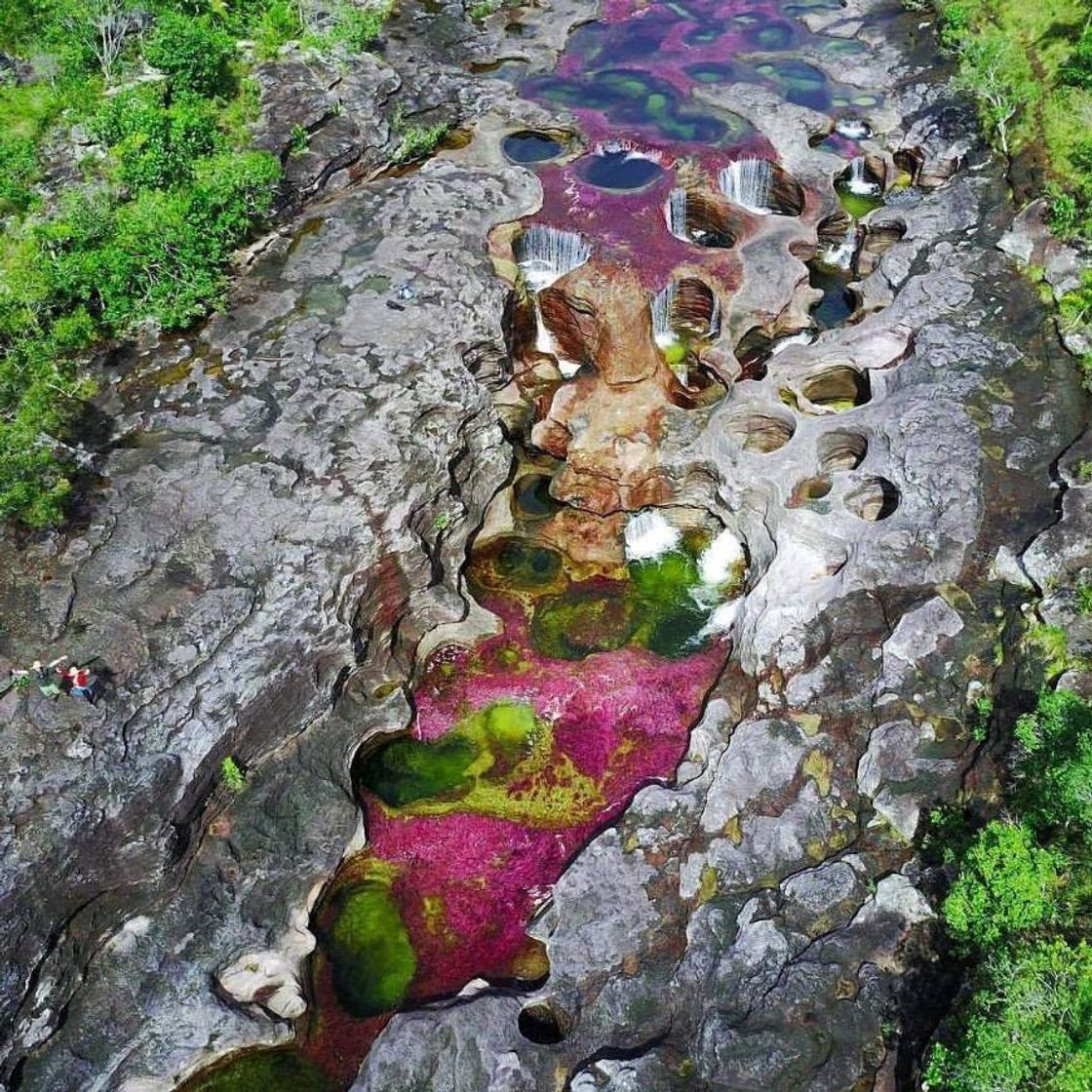 Place Caño Cristales