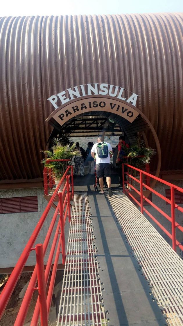 Restaurants Península Restaurante-Paraíso vivo