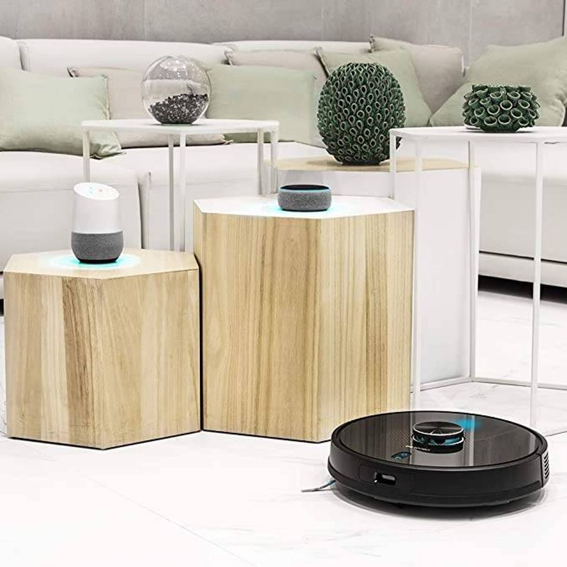 Social ROBOT ASPIRADOR😍