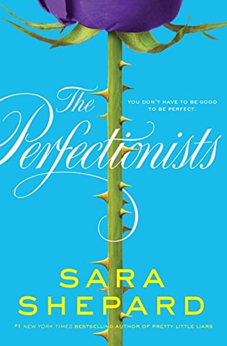 Libro The Perfectionists