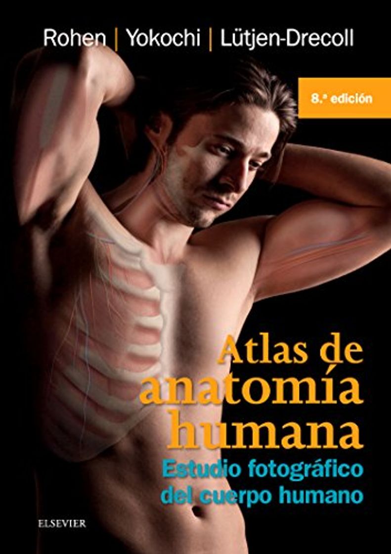 Book Atlas De Anatomía Humana - 8ª Edición