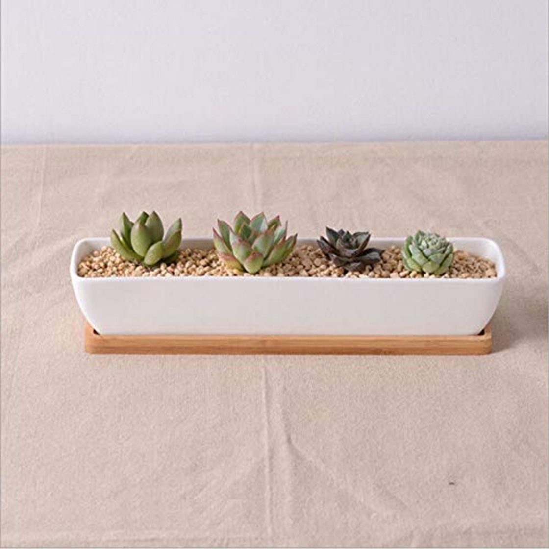 Product WANG Simple White Creative Mini Meaty Ceramic Desktop Long Square Strip with