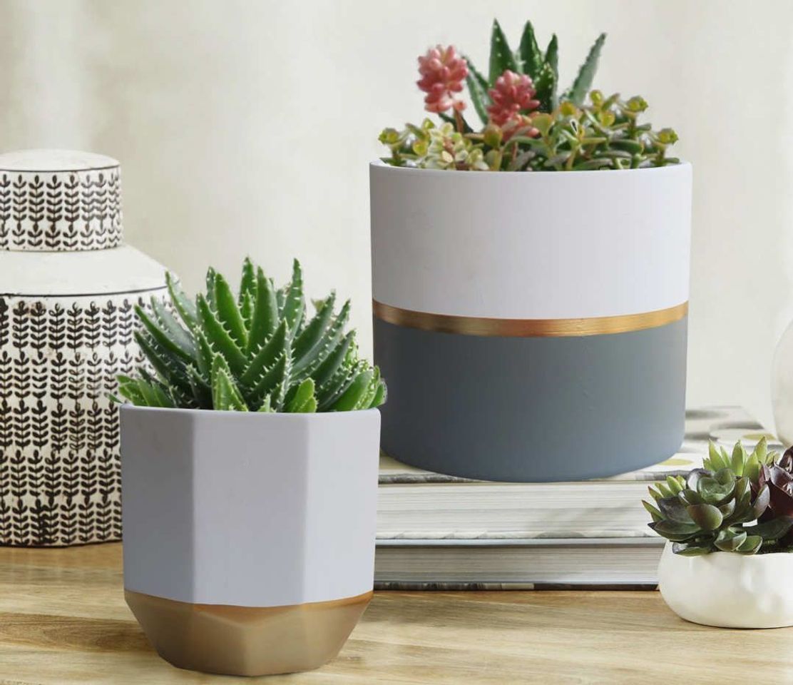 Product Plant containers with gold and grey detailing