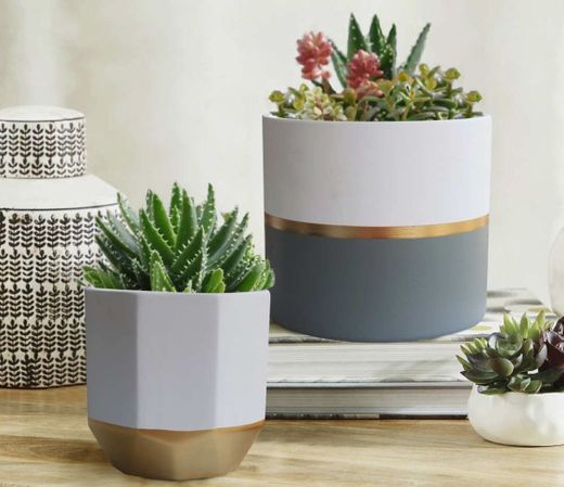 Plant containers with gold and grey detailing