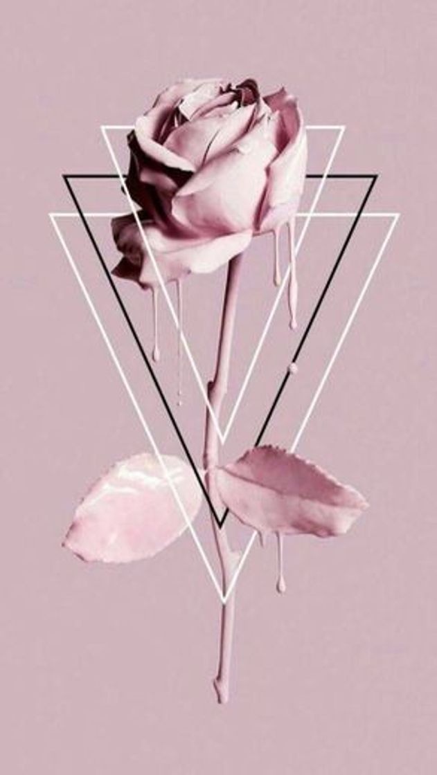 Social Rosa