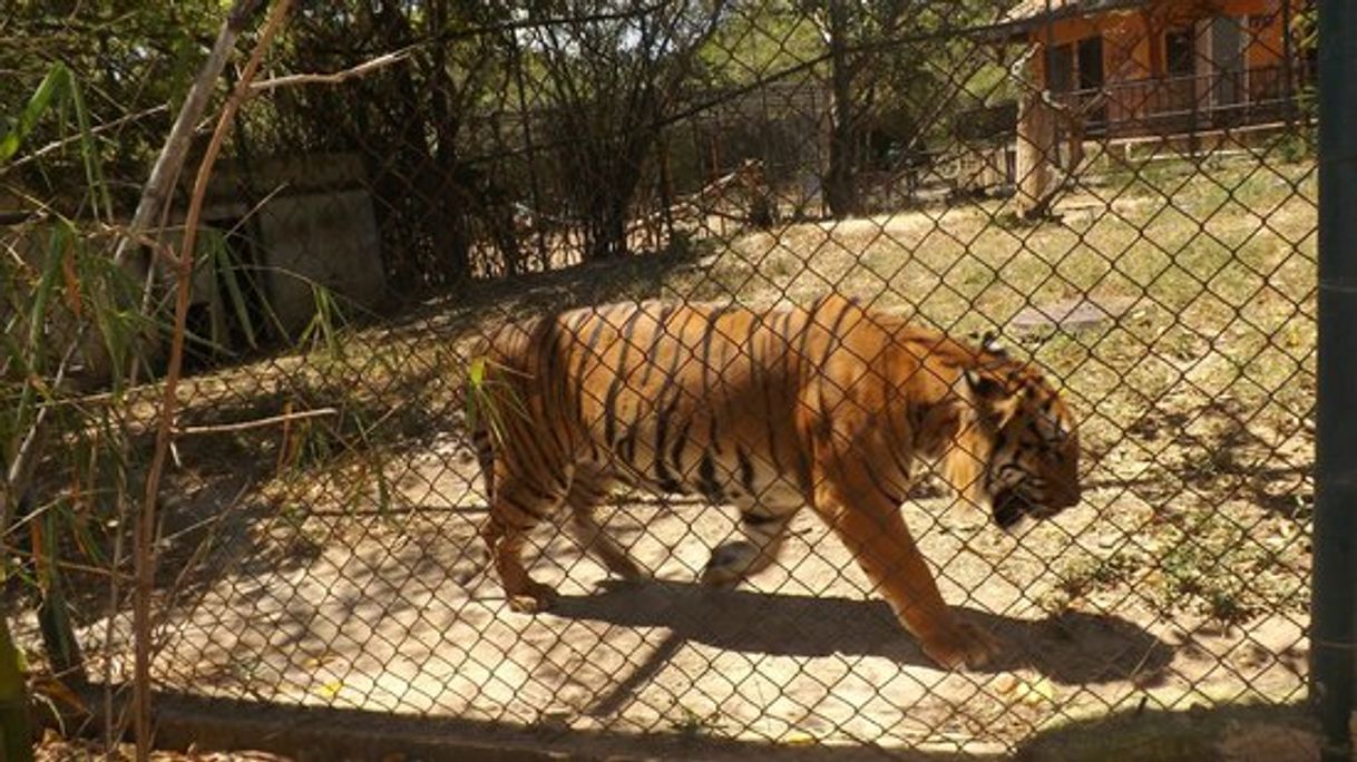 Place Parque Zoológico Bararida