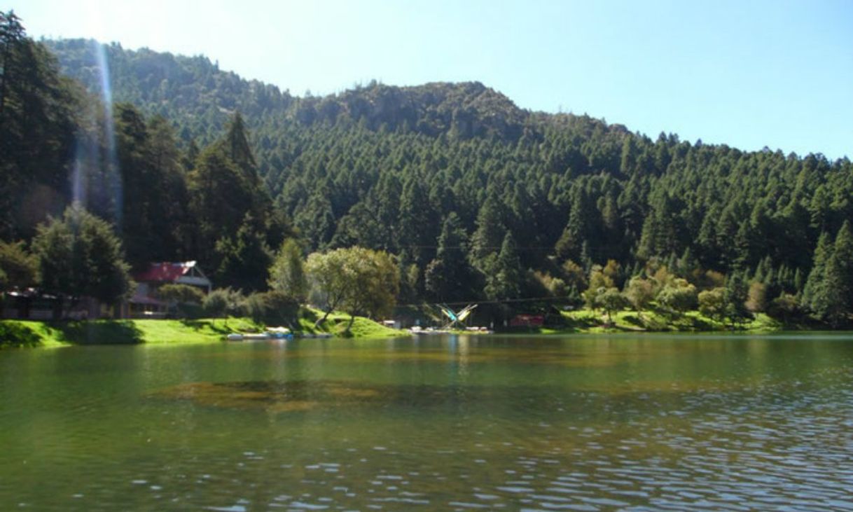 Place El Cedral