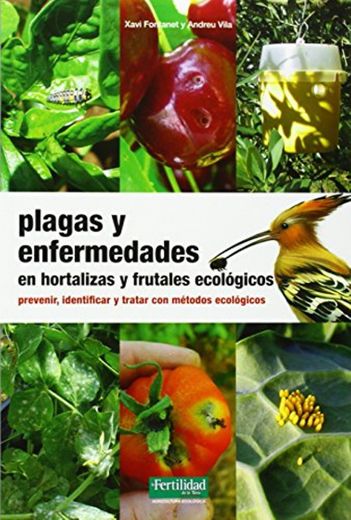 Plagas y enfermedades en hortalizas y frutales ecológicos: prevenir, identificar y tratar