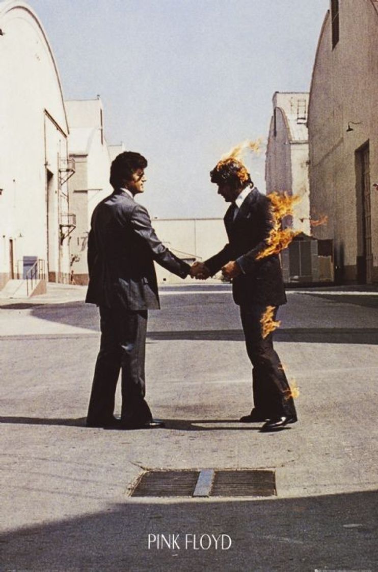 Canción Wish You Were Here