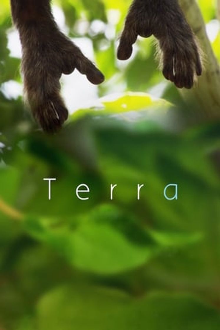 Movie Tierra