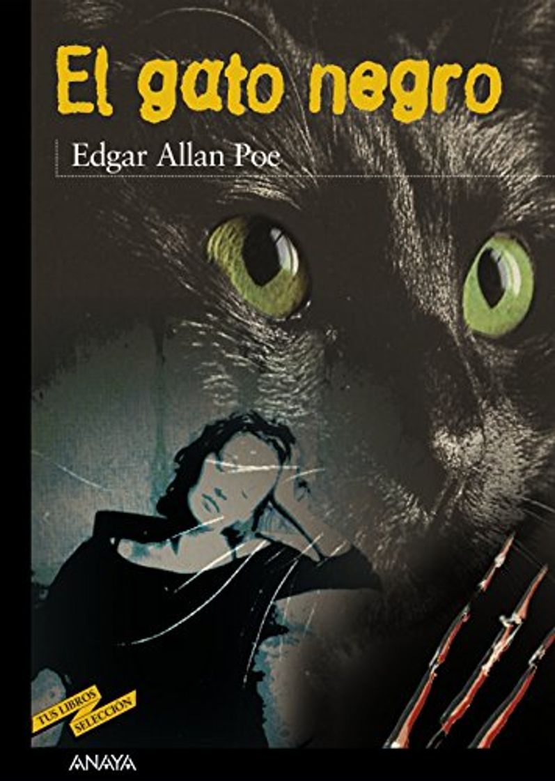 Libro El gato negro