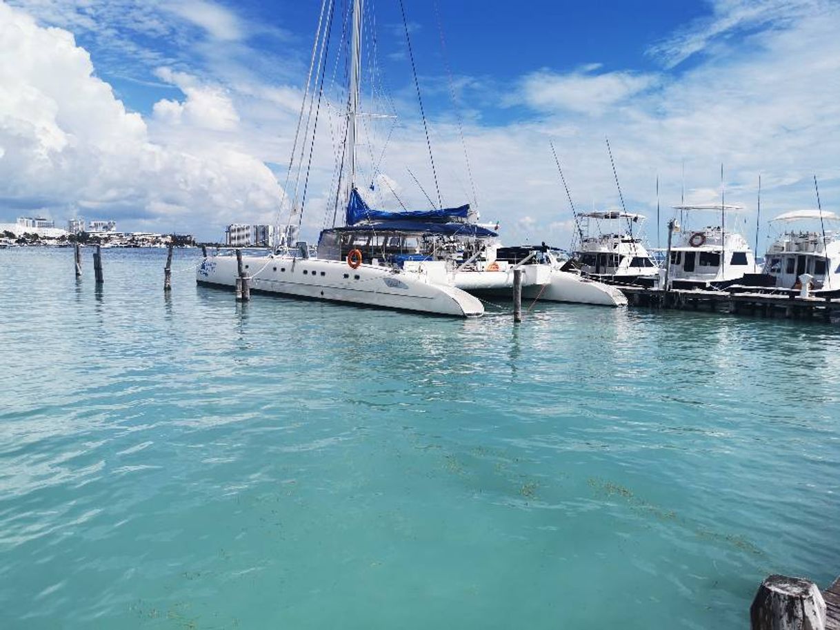 Lugar Cancun Sailing