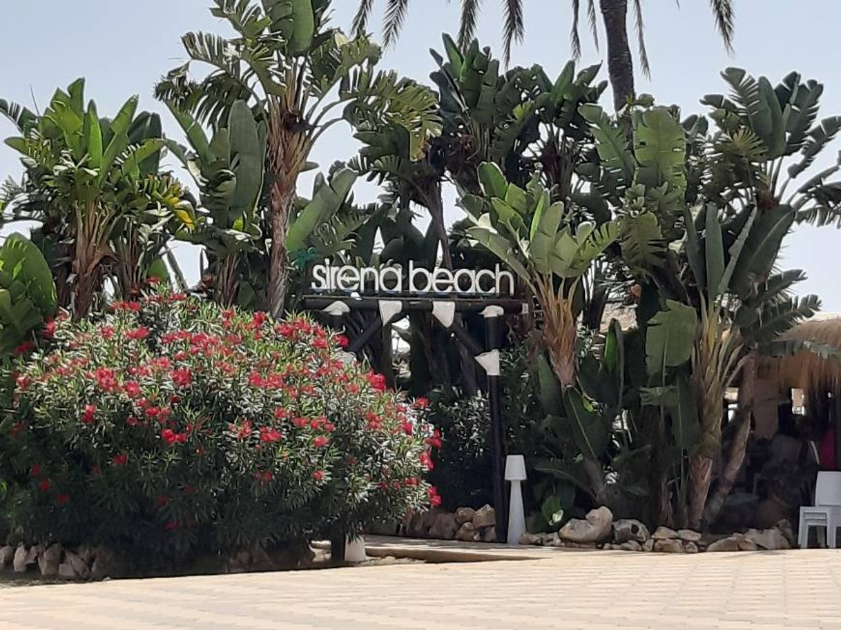 Restaurantes Sirena Beach (Torre del mar)