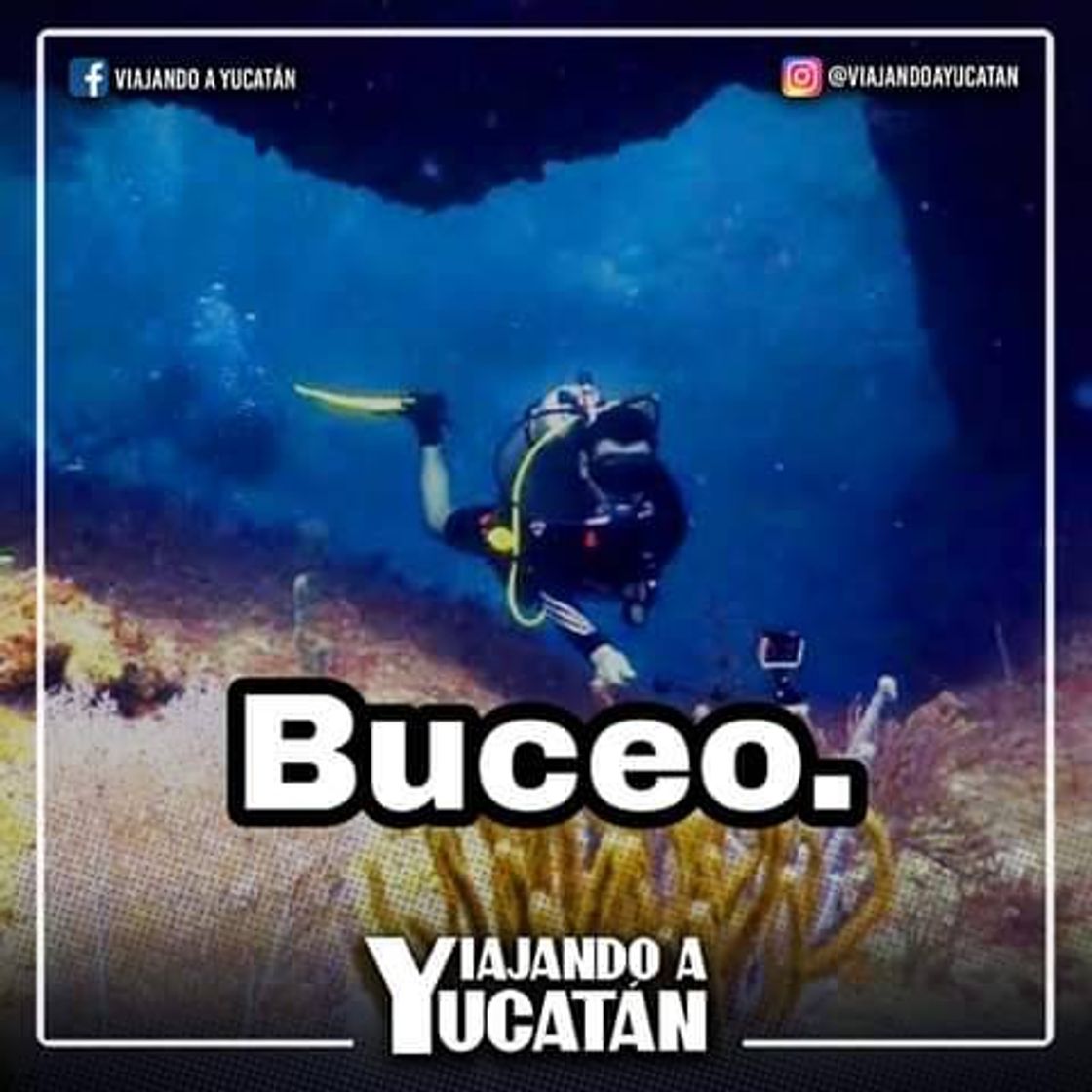 Fashion Buceo