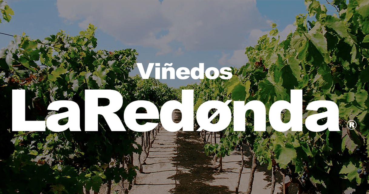 Lugar Viñedos La Redonda