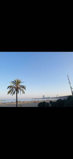 Playa de la Barceloneta