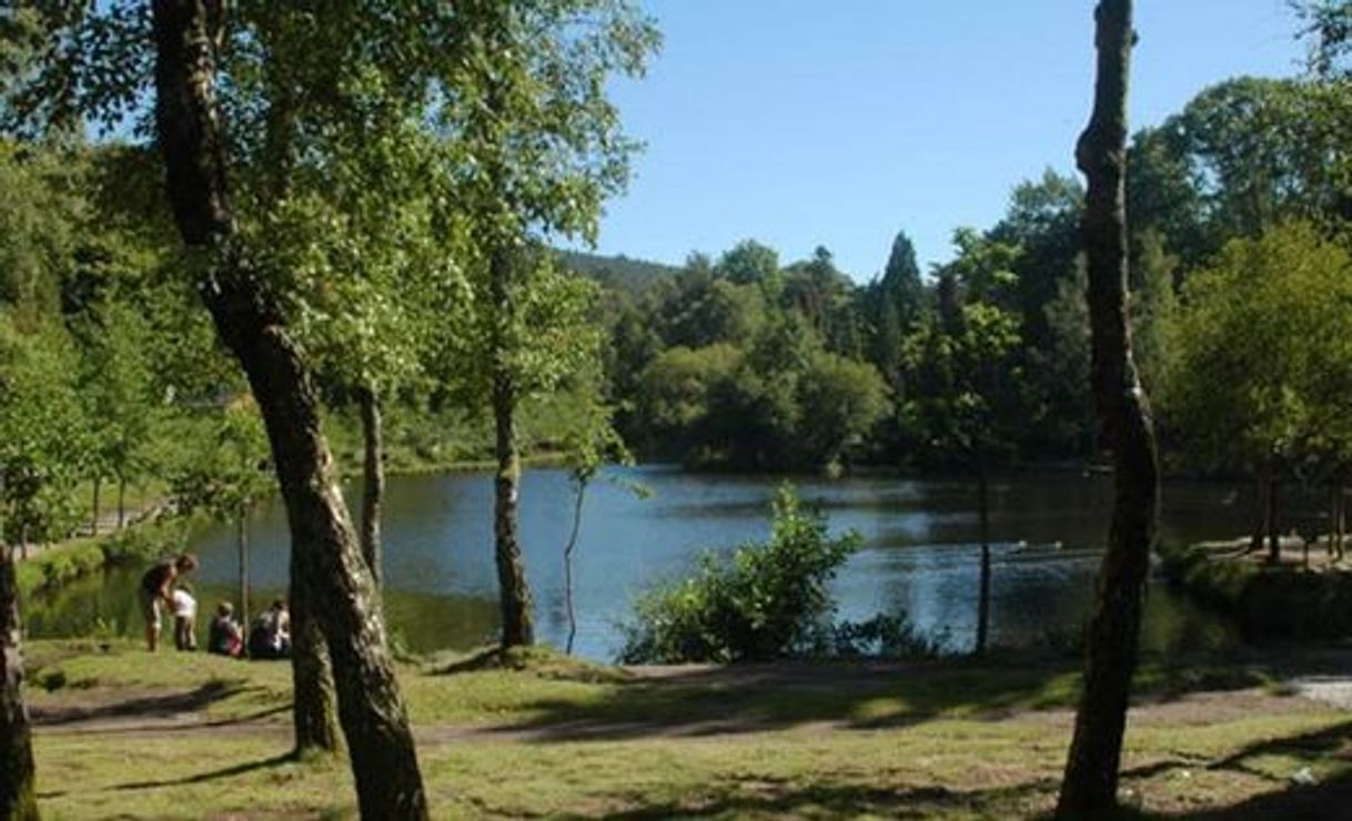 Place Lago Castiñeiras