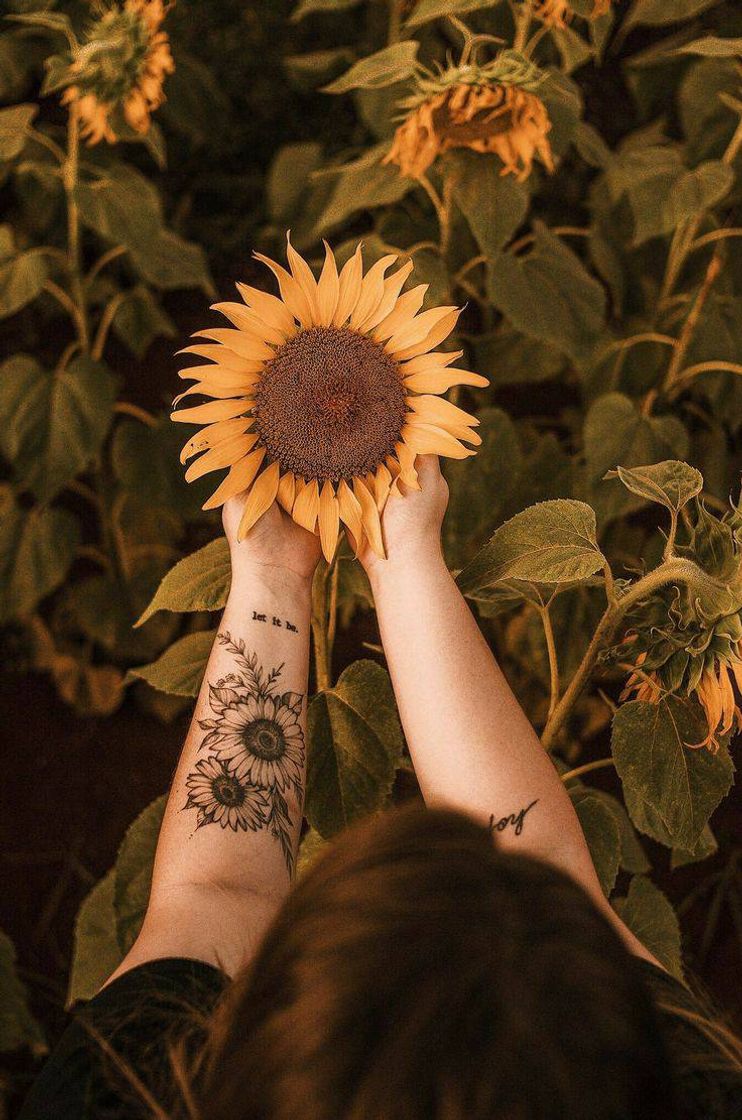 Fashion TATTO GIRASSOL🌻