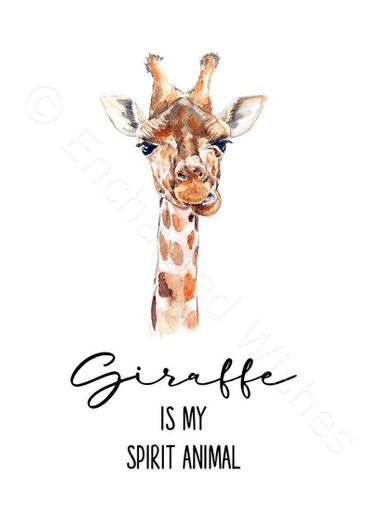 Girafaa