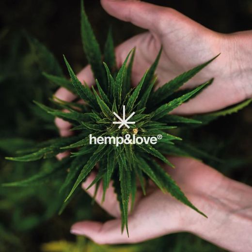 Hemp and Love - Moda sostenible de cáñamo orgánico 