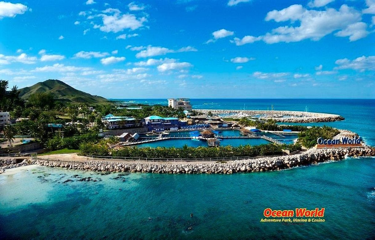 Place Ocean World Adventure Park, Puerto Plata