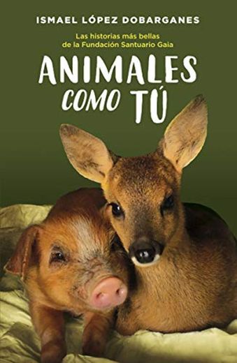Animales como tú: Las historias más bellas de la Fundación Santuario Gaia