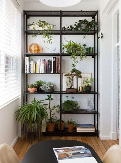 Decoração com livros e plantas