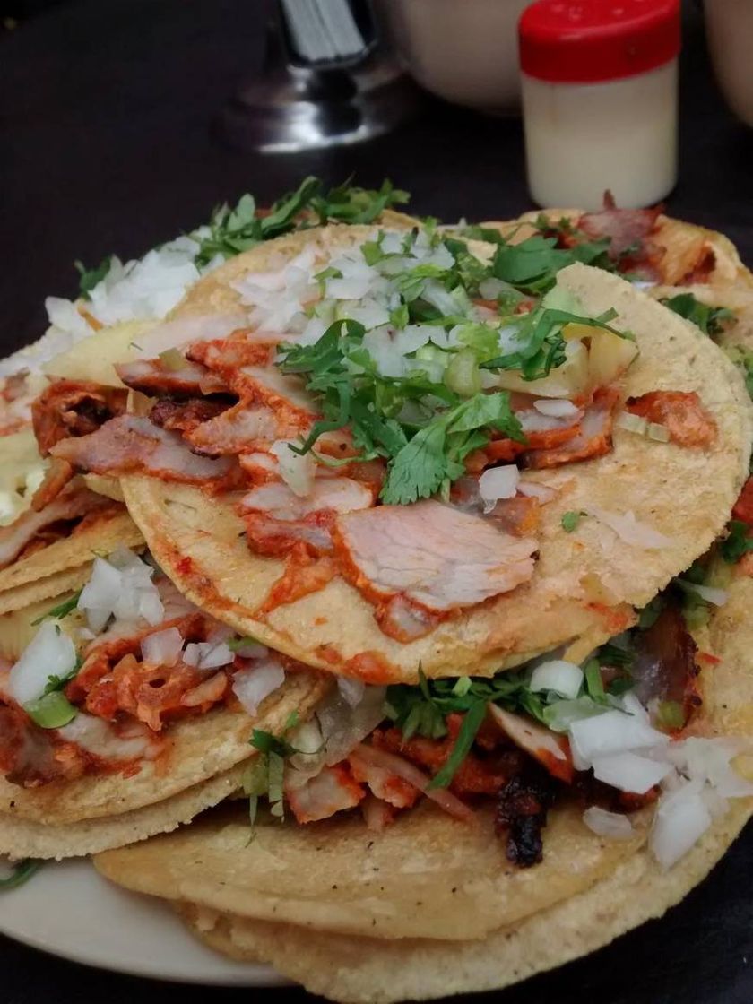 Moda Tacos Escandon 🌮