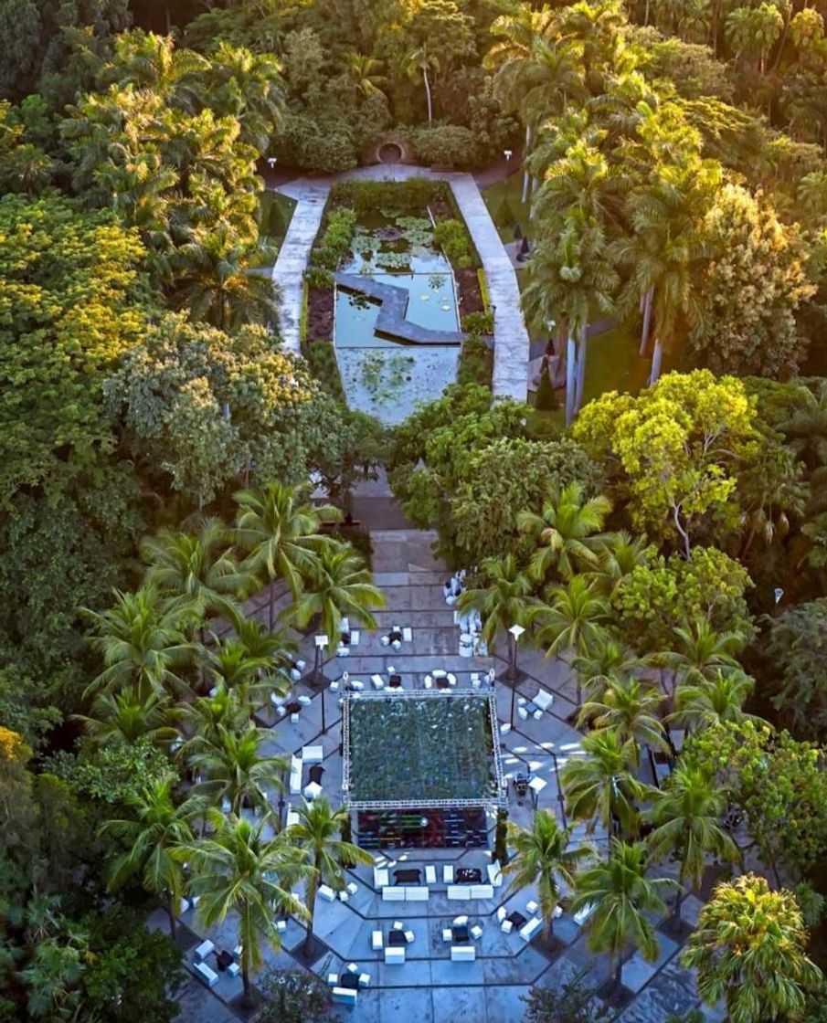 Lugar Jardín Botánico Culiacán