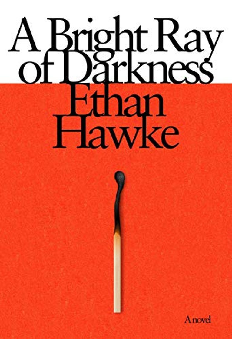 Libro Bright Ray of Darkness: A novel