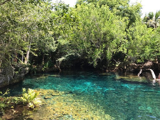 Place Indigenous Eyes Ecological Reserve