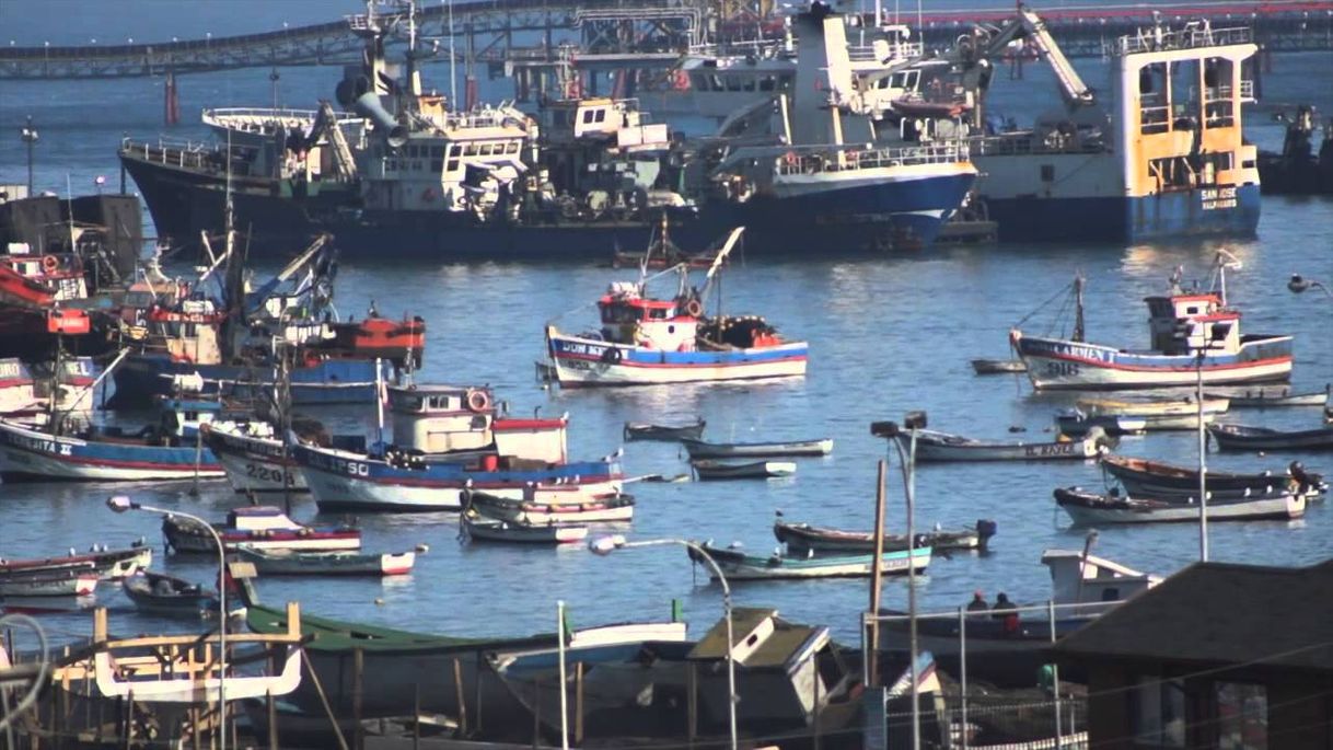 Moda MALA PESCA, LA DEPREDACIÓN PESQUERA EN CHILE - YouTube