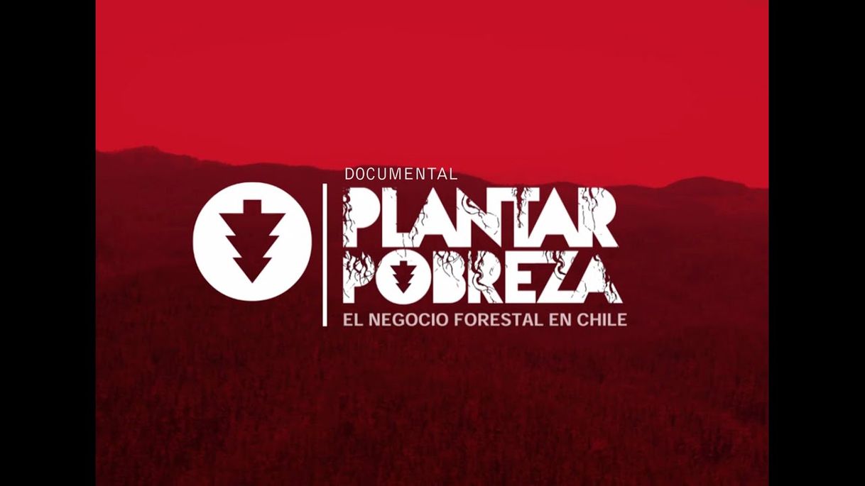 Moda PLANTAR POBREZA, EL NEGOCIO FORESTAL EN CHILE - YouTube