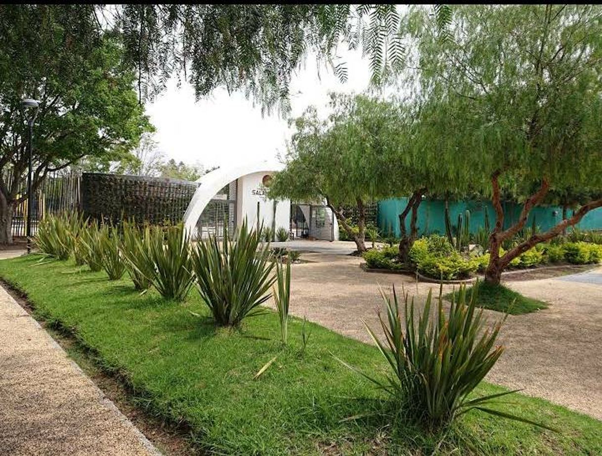 Lugar Ecoparque