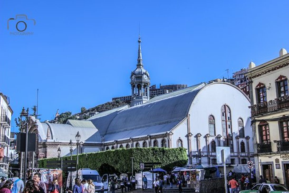 Place Mercado Hidalgo