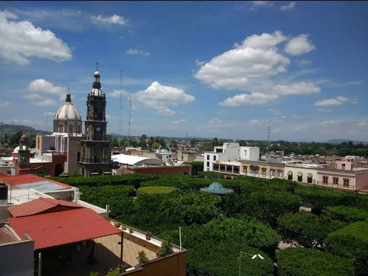 Lugar Jardín Constitución